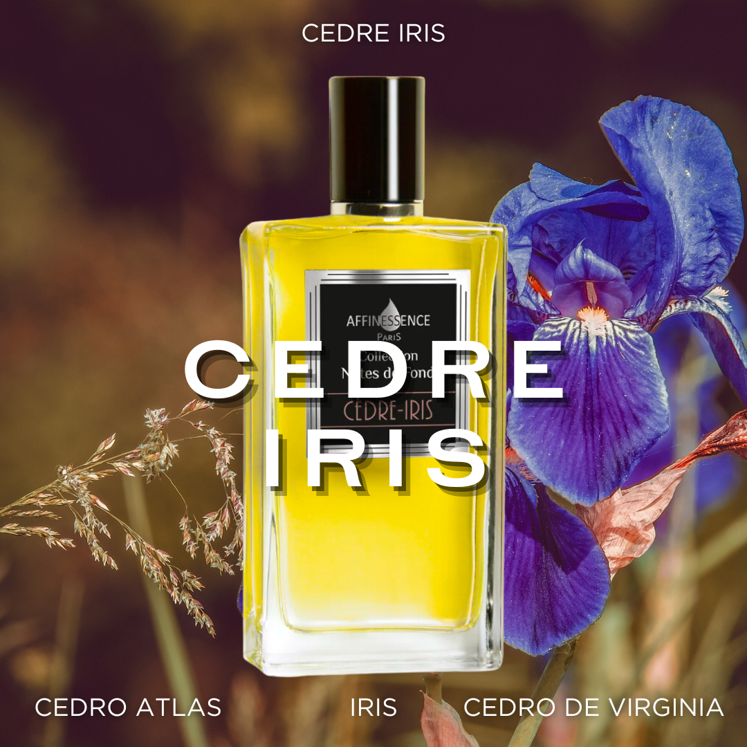 Cedre Iris