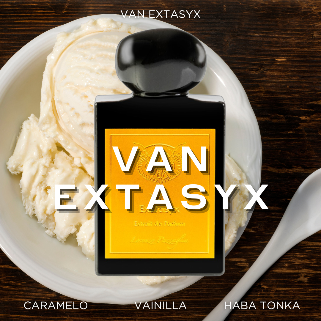 Van Extasyx